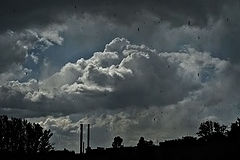 photo "***"