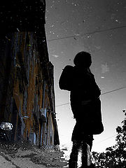 фото "Reflection"