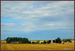 фото "green,green gras off home"