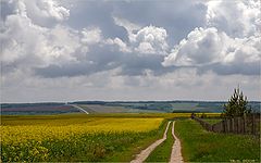 photo "Last day of May"