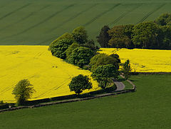 photo "Winding Road"