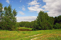 photo "The first day of summer."