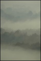 photo "***"