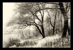 photo "Мимолётность"