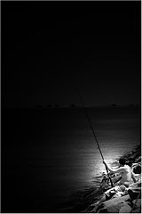 photo "***"