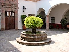 фото "Backyard"
