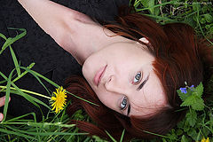 photo "***"