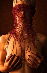 photo "net"