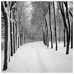 photo "Winter in the Spring"