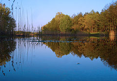 фото "На Хороле - 2."
