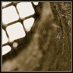 photo "Underground"