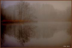 фото "misty morning"