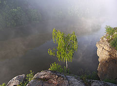 фото "Отшельник"