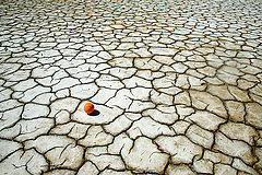 photo "Dry golf"