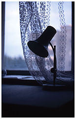 photo "In the Evening"
