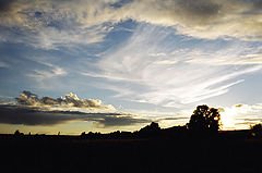 photo "Decline"