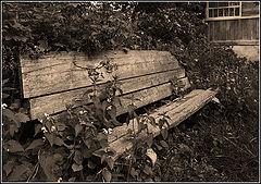 photo "***"