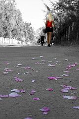 photo "***"