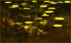 photo "Flicker of hope... so bright, and so unclear ....."