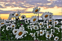 photo "***"