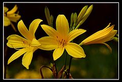 photo "like a painting"