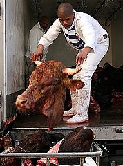 photo "One man's meat...."