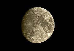 photo "Dear mine night-owls"