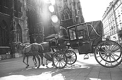 фото "Old Viena"