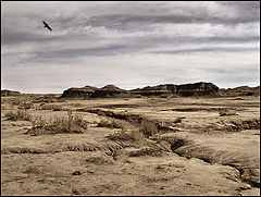 photo "Badlands"