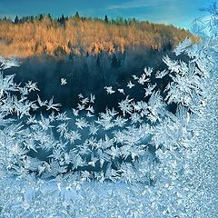 photo "***"