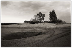 photo "Oasis"