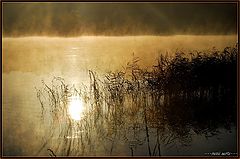 фото "sunny and misty morning"