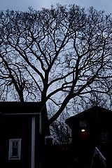 фото "old porvoo"