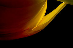 фото "Cradle"