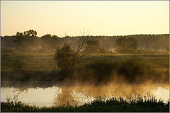 photo "Morning"