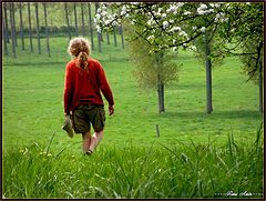 photo "spring walk"