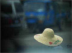 photo "Toll Collector"