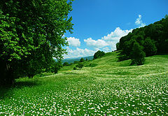 photo "Mountain valley"