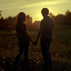 photo "N+D"
