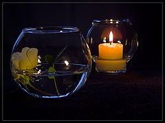 photo "While the candle burns"