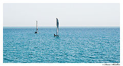 photo "Freedom"
