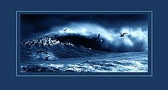 фото "the wave"