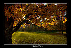 photo "...about light and shadows..."