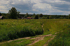 фото "Перед дождём."