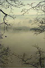 photo "***"