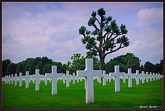 photo "American Cemetery world war II"