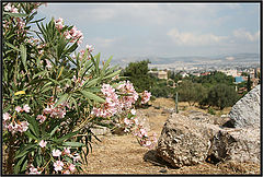 фото "Greece"