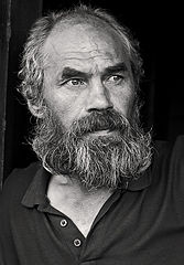 фото "Сибирская порода"
