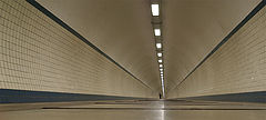photo "Long Way"