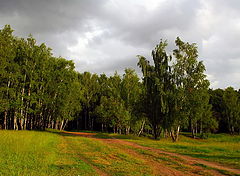 фото "Перед грозой"